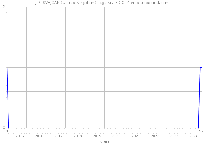 JIRI SVEJCAR (United Kingdom) Page visits 2024 