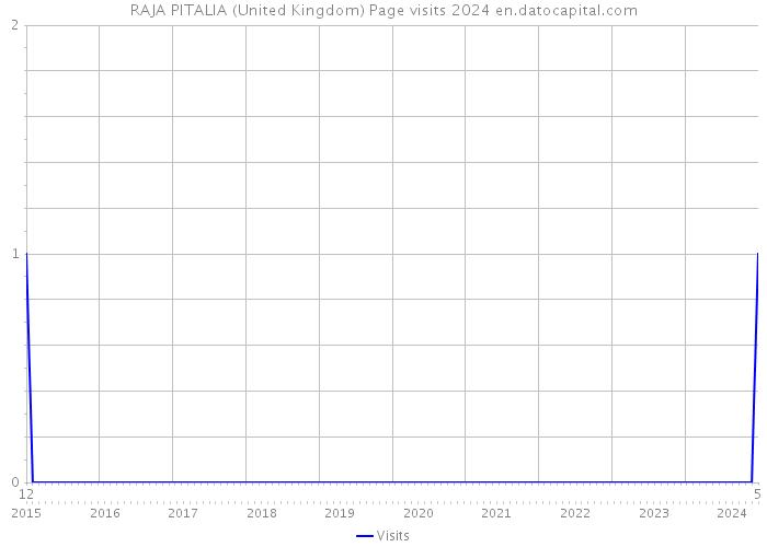 RAJA PITALIA (United Kingdom) Page visits 2024 