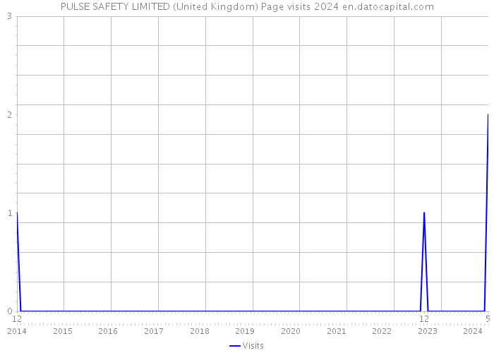 PULSE SAFETY LIMITED (United Kingdom) Page visits 2024 