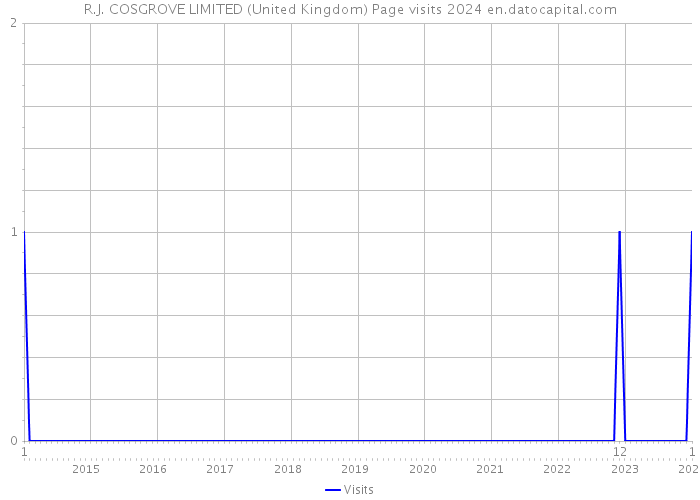 R.J. COSGROVE LIMITED (United Kingdom) Page visits 2024 