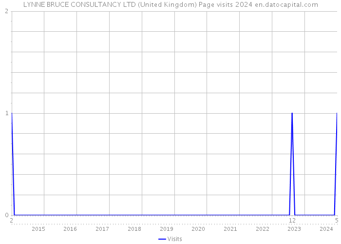 LYNNE BRUCE CONSULTANCY LTD (United Kingdom) Page visits 2024 