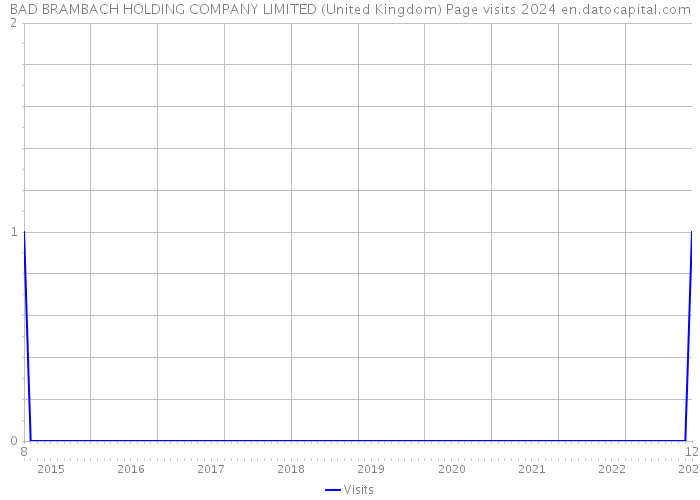 BAD BRAMBACH HOLDING COMPANY LIMITED (United Kingdom) Page visits 2024 
