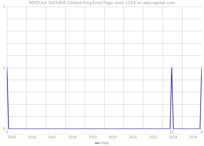 MRIDULA SHOURIE (United Kingdom) Page visits 2024 