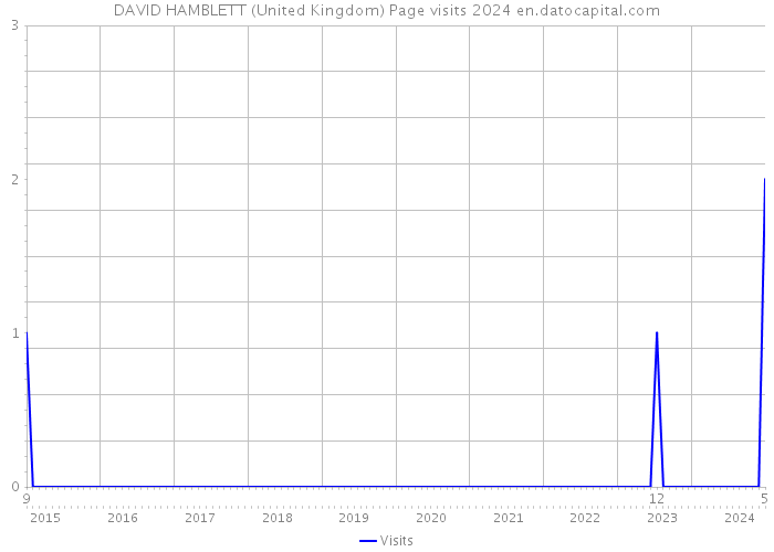 DAVID HAMBLETT (United Kingdom) Page visits 2024 