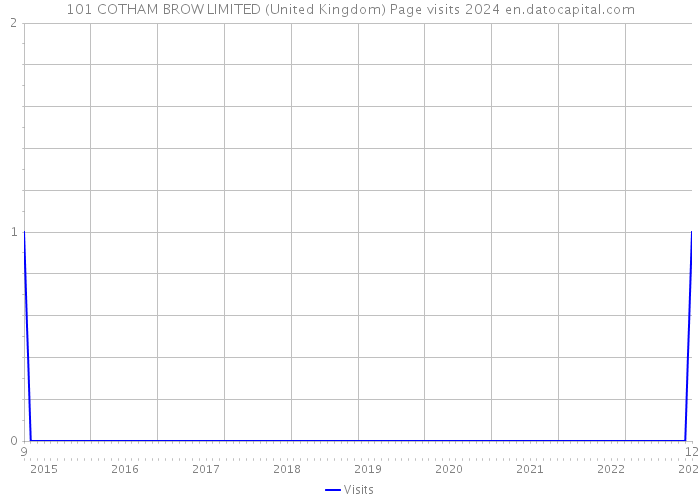 101 COTHAM BROW LIMITED (United Kingdom) Page visits 2024 