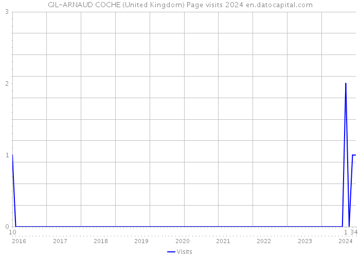 GIL-ARNAUD COCHE (United Kingdom) Page visits 2024 
