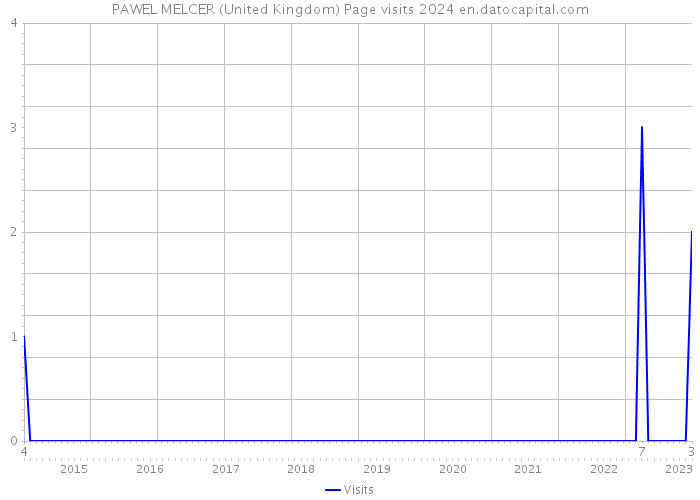 PAWEL MELCER (United Kingdom) Page visits 2024 