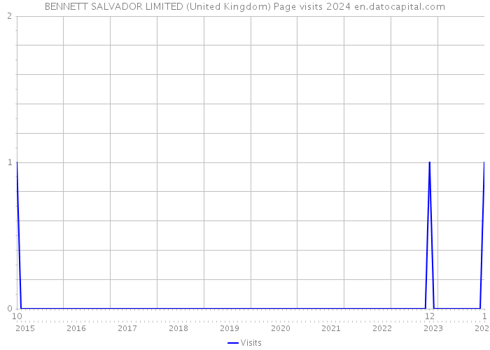BENNETT SALVADOR LIMITED (United Kingdom) Page visits 2024 