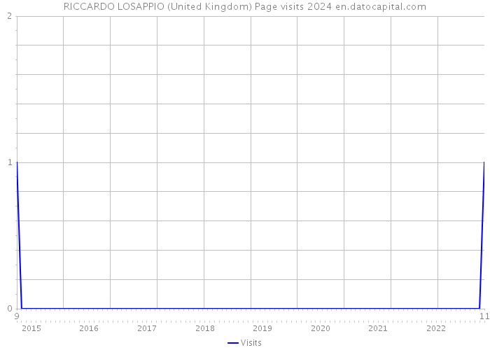 RICCARDO LOSAPPIO (United Kingdom) Page visits 2024 