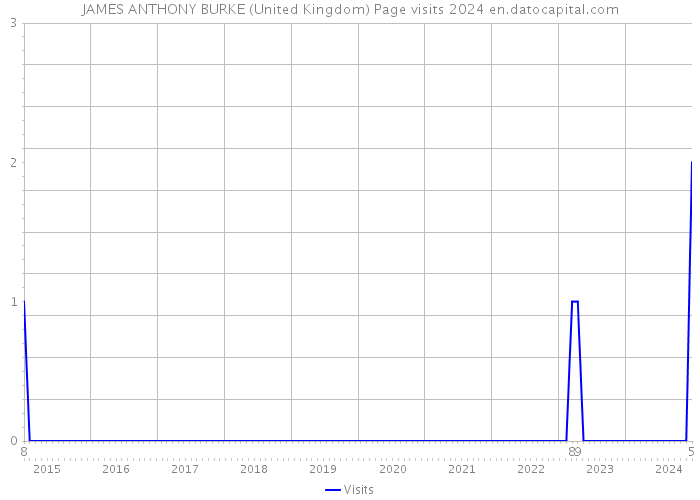 JAMES ANTHONY BURKE (United Kingdom) Page visits 2024 