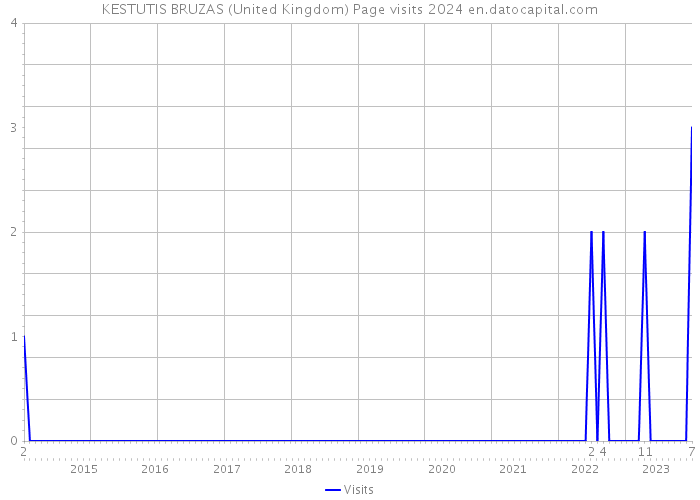 KESTUTIS BRUZAS (United Kingdom) Page visits 2024 
