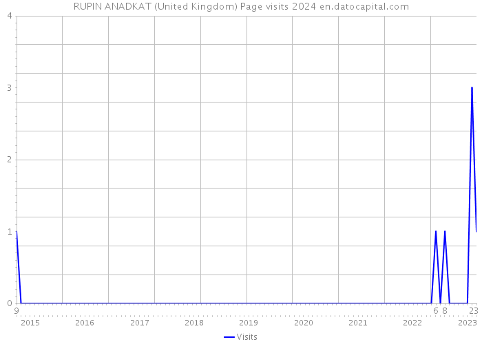 RUPIN ANADKAT (United Kingdom) Page visits 2024 
