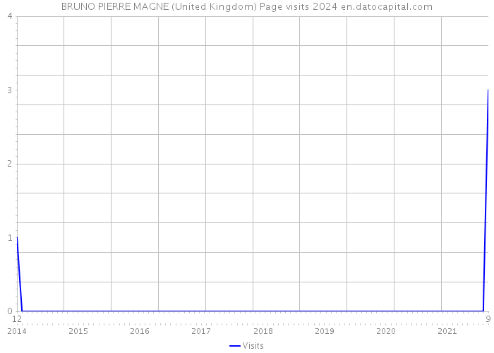 BRUNO PIERRE MAGNE (United Kingdom) Page visits 2024 