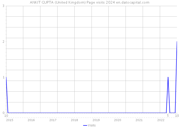 ANKIT GUPTA (United Kingdom) Page visits 2024 