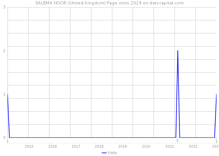 SALEMA NOOR (United Kingdom) Page visits 2024 