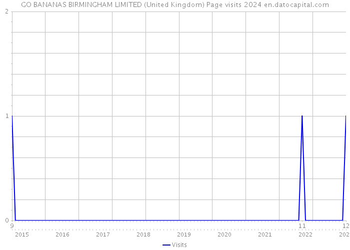 GO BANANAS BIRMINGHAM LIMITED (United Kingdom) Page visits 2024 