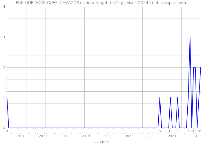 ENRIQUE RODRIGUEZ-CAVAZOS (United Kingdom) Page visits 2024 