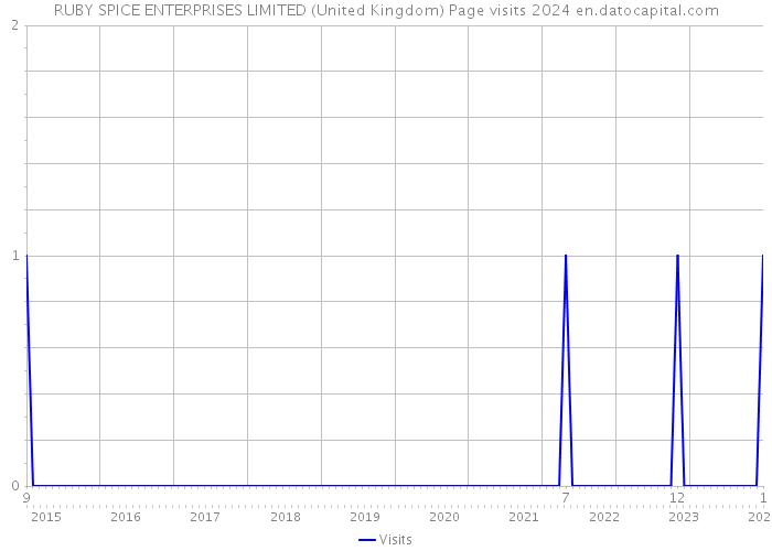 RUBY SPICE ENTERPRISES LIMITED (United Kingdom) Page visits 2024 