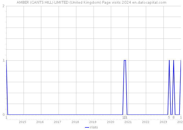 AMBER (GANTS HILL) LIMITED (United Kingdom) Page visits 2024 