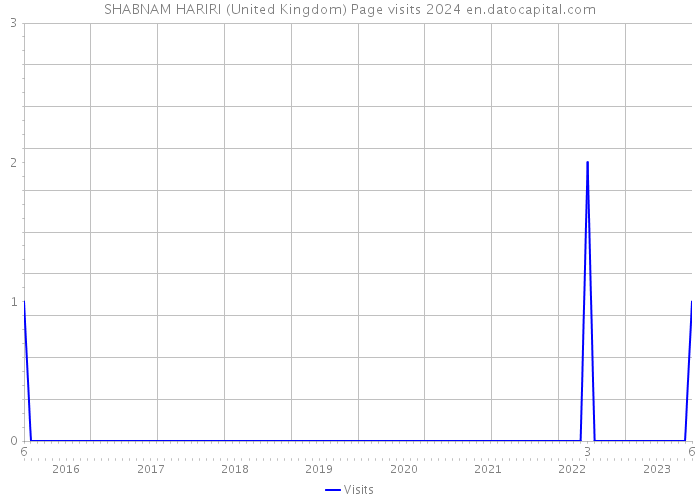SHABNAM HARIRI (United Kingdom) Page visits 2024 