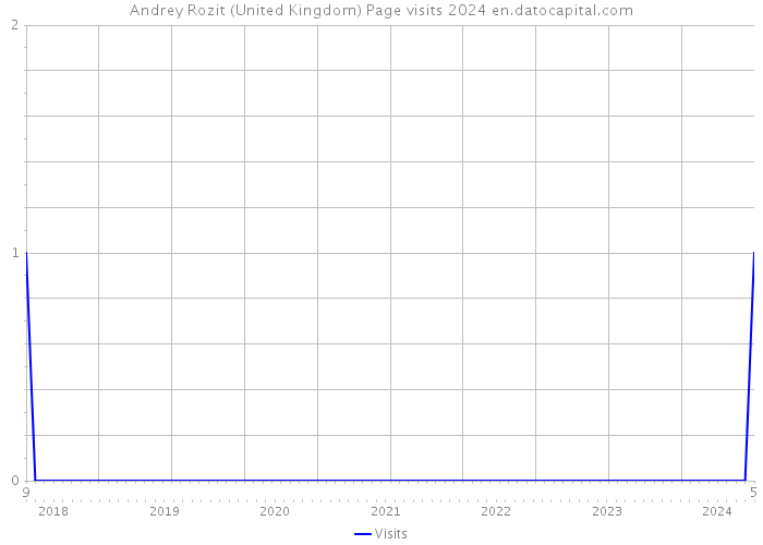 Andrey Rozit (United Kingdom) Page visits 2024 