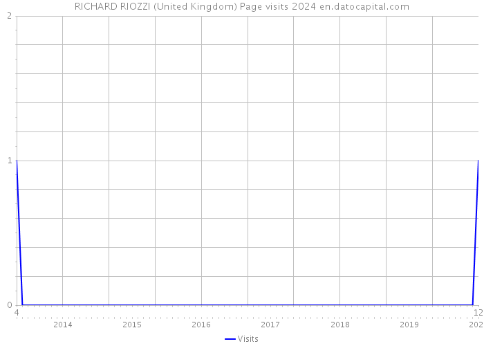 RICHARD RIOZZI (United Kingdom) Page visits 2024 