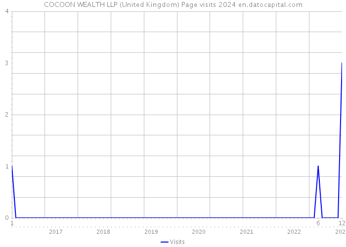 COCOON WEALTH LLP (United Kingdom) Page visits 2024 