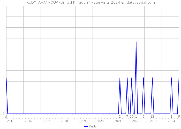 RUDY JAVANPOUR (United Kingdom) Page visits 2024 