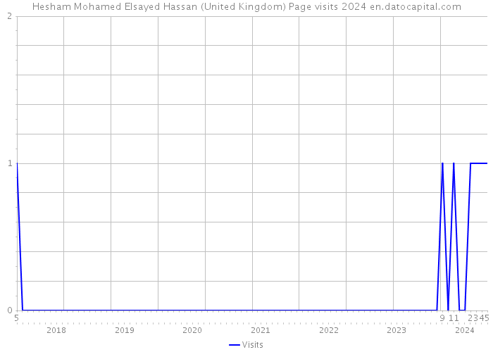 Hesham Mohamed Elsayed Hassan (United Kingdom) Page visits 2024 
