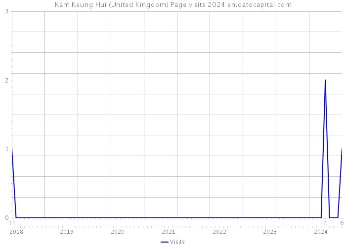 Kam Keung Hui (United Kingdom) Page visits 2024 