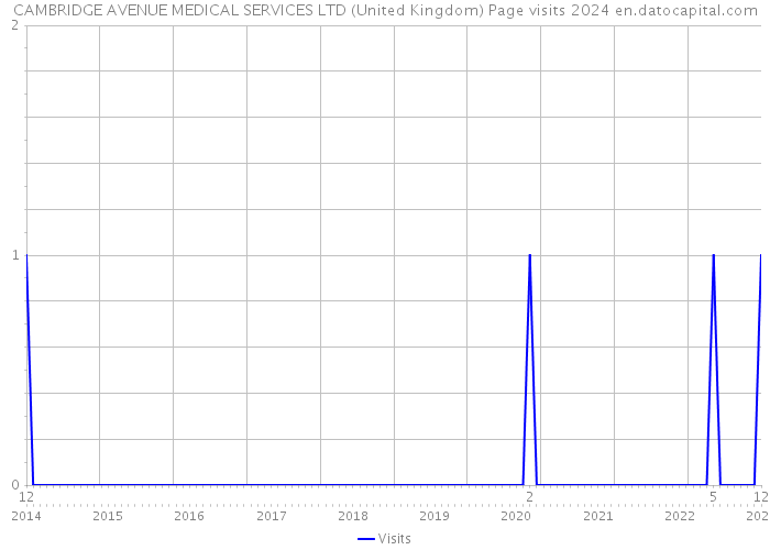 CAMBRIDGE AVENUE MEDICAL SERVICES LTD (United Kingdom) Page visits 2024 