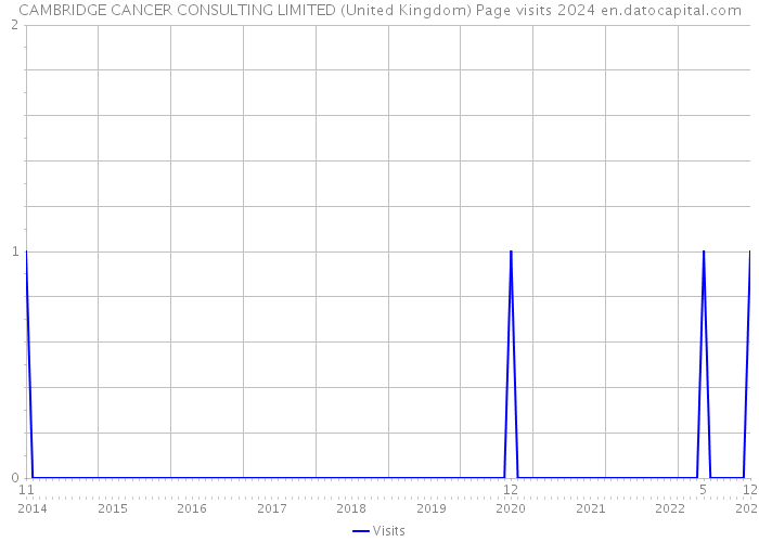 CAMBRIDGE CANCER CONSULTING LIMITED (United Kingdom) Page visits 2024 