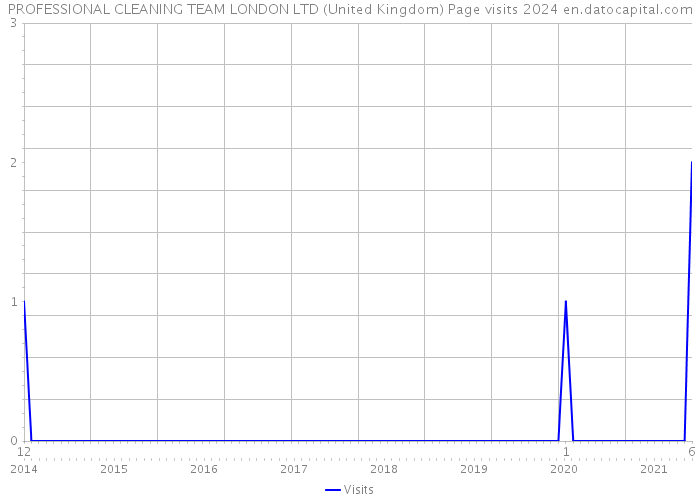 PROFESSIONAL CLEANING TEAM LONDON LTD (United Kingdom) Page visits 2024 