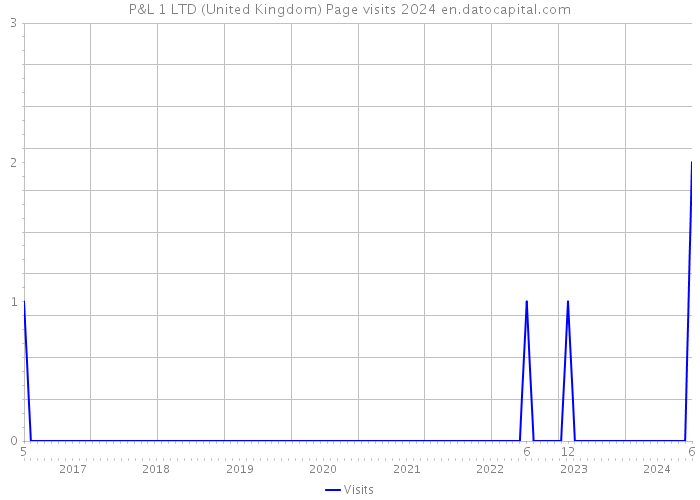 P&L 1 LTD (United Kingdom) Page visits 2024 