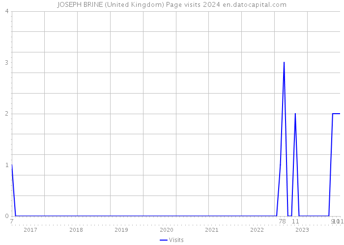 JOSEPH BRINE (United Kingdom) Page visits 2024 