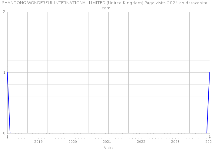 SHANDONG WONDERFUL INTERNATIONAL LIMITED (United Kingdom) Page visits 2024 