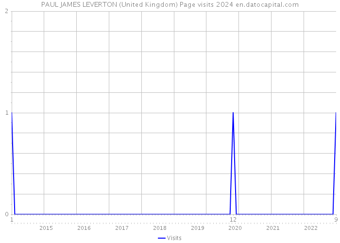 PAUL JAMES LEVERTON (United Kingdom) Page visits 2024 