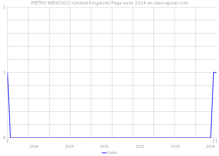 PIETRO MENCUCCI (United Kingdom) Page visits 2024 