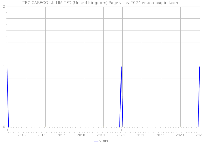 TBG CARECO UK LIMITED (United Kingdom) Page visits 2024 