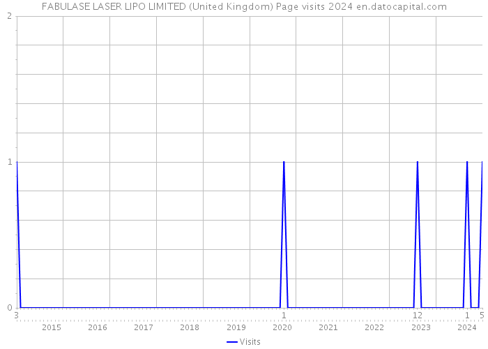FABULASE LASER LIPO LIMITED (United Kingdom) Page visits 2024 