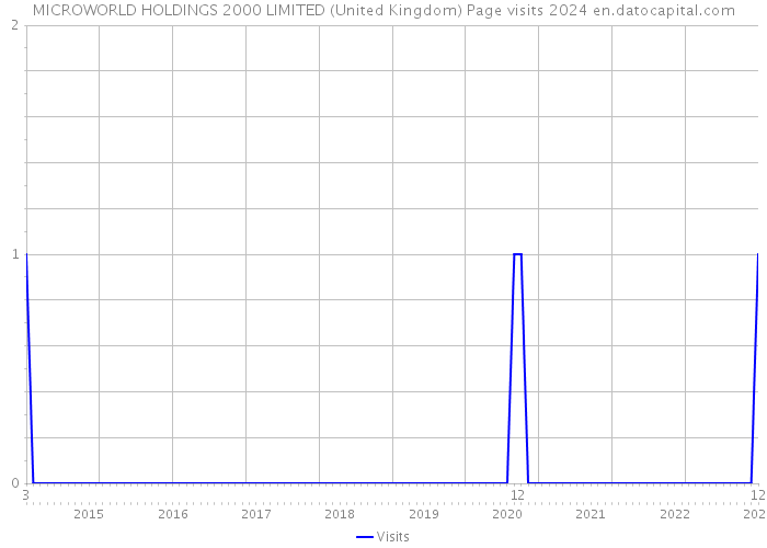 MICROWORLD HOLDINGS 2000 LIMITED (United Kingdom) Page visits 2024 