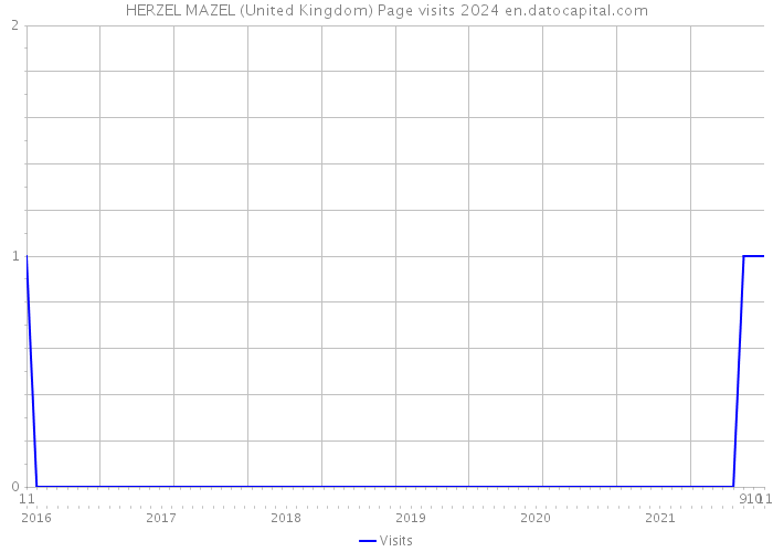 HERZEL MAZEL (United Kingdom) Page visits 2024 