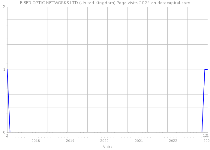 FIBER OPTIC NETWORKS LTD (United Kingdom) Page visits 2024 
