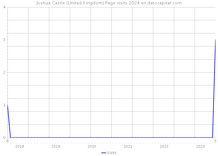 Joshua Castle (United Kingdom) Page visits 2024 