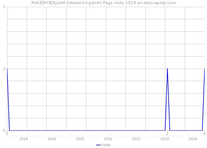 RAKESH BOLLAM (United Kingdom) Page visits 2024 