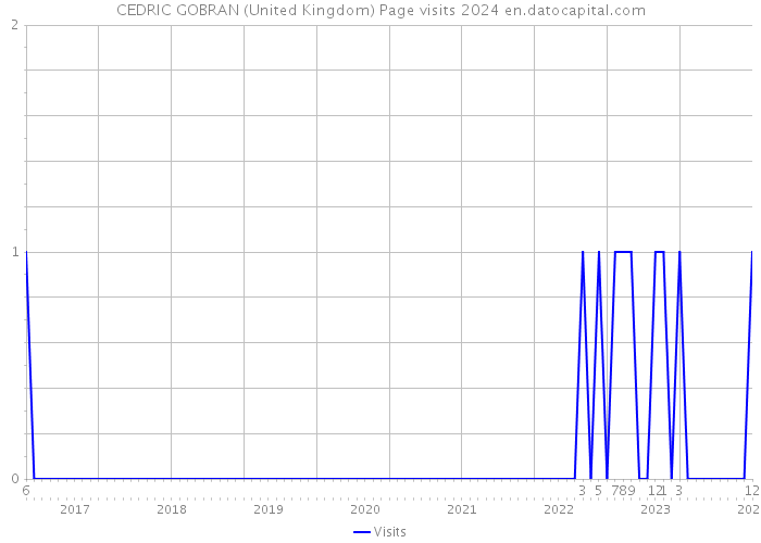 CEDRIC GOBRAN (United Kingdom) Page visits 2024 