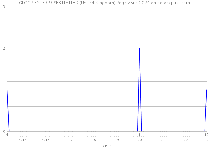 GLOOP ENTERPRISES LIMITED (United Kingdom) Page visits 2024 