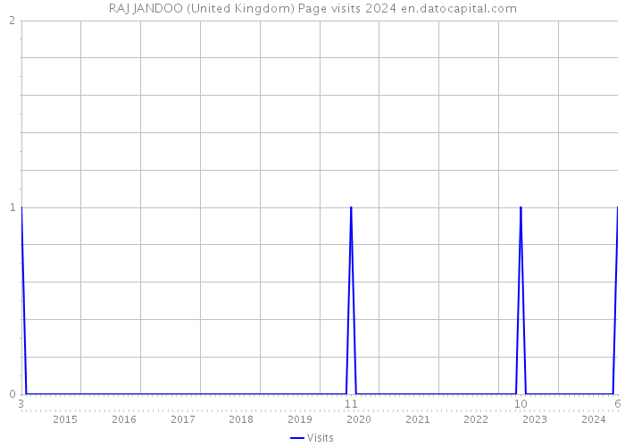 RAJ JANDOO (United Kingdom) Page visits 2024 