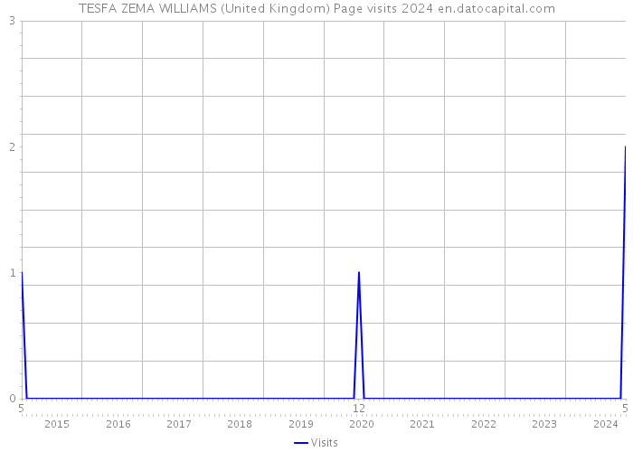 TESFA ZEMA WILLIAMS (United Kingdom) Page visits 2024 
