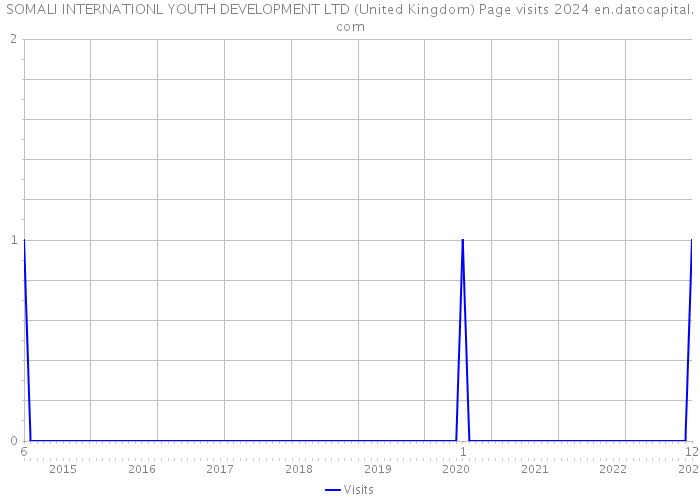 SOMALI INTERNATIONL YOUTH DEVELOPMENT LTD (United Kingdom) Page visits 2024 